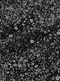 NAME IT Paillet Bluse Sura Black